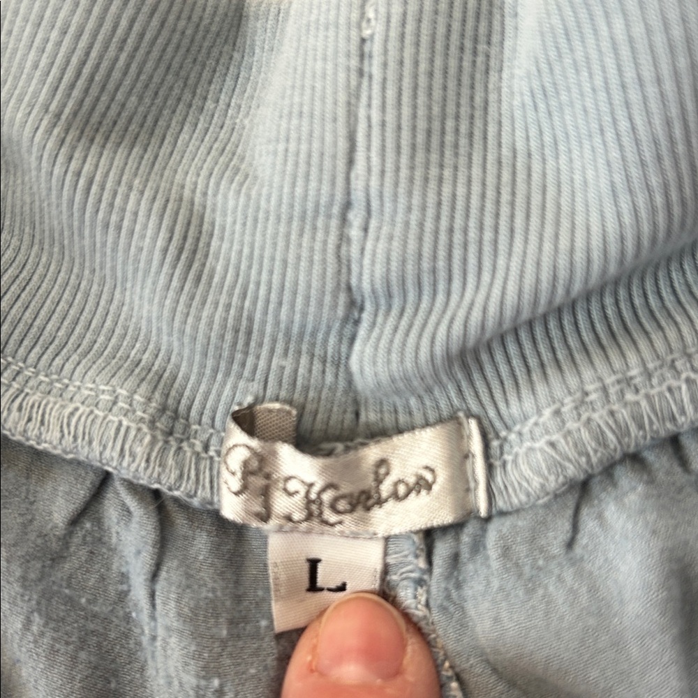 Shimmery Silver and Blue Shorts - Picture 2 of 3